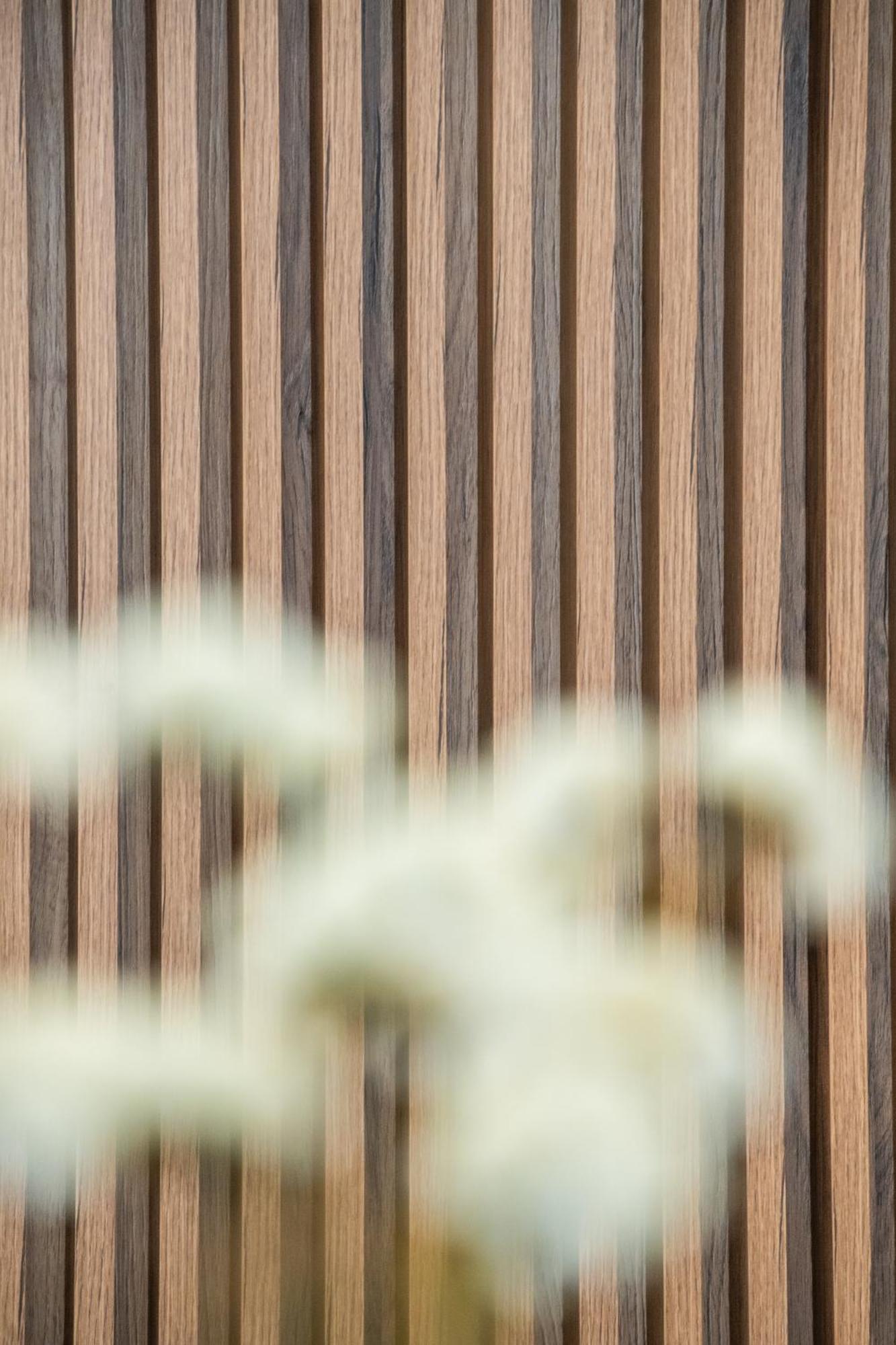 Apartamenty Balijskie Gliwice Exteriör bild